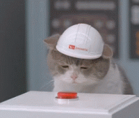 DA83D13A-89D9-49AD-AA8C-A56B4816B24B.gif