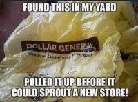 FB_IMG_1627340195699.jpg