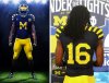 mich.jpg