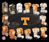 TennesseeVolunteersUniformEvolution.jpg TennesseeVolunteersUniformEvolution.jpg