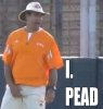 IPEAD.jpg