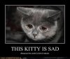 sadkitty.jpg
