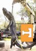 gatorweek.jpg