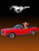 mustang pkg.jpg