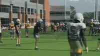 1628104174410.gif