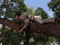 3FBA3B59-B878-4B67-B8F5-7DDDD18032BF.gif