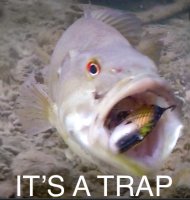 8431571C-03AD-4620-AC0B-3ECAC41B34A4.jpeg
