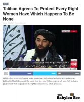 babylon bee195.jpeg