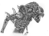 1629745117767.png