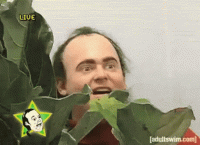 1629945635183.gif