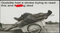 1594908916051.jpg