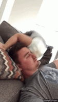 1630887958553.gif