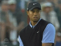 1631243350559.gif