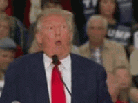 1631385806434.gif