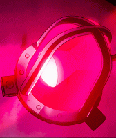 1631407702925.gif