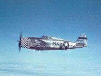 p-47 78th fighter group.jpg