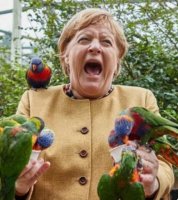 Merkel-Birds.JPG