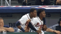 braves-atlanta.gif