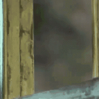 1633198124283.gif
