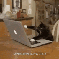 9B4A6BAE-F44F-4179-A70E-FBCF7B56FB07.gif