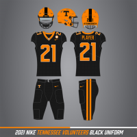 Orange Helmet with Black.png