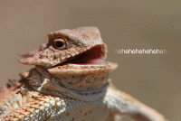 1633798744622.gif