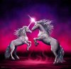 1046-unicorn-dance.jpg