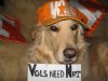Vols need Nat 003.jpg