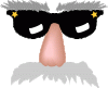 nose-glasses1.gif