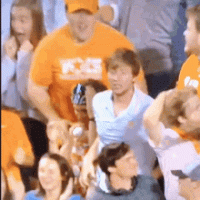 vols-go.gif