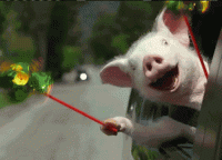 1634861966992.gif