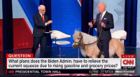 biden pony fists.gif