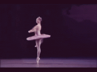 giphy (8).gif