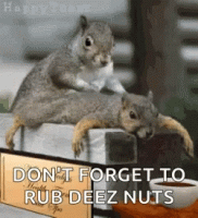 1635905195434.gif