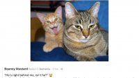 344797AE-9AE1-448C-932B-B36BEC69B4B8.jpeg