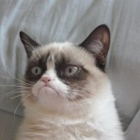 grumpy-cat-copywriting-450x450.jpg