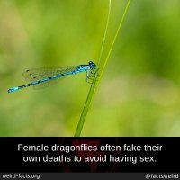 D30ED752-7834-4A0F-A414-A3886D65F513.jpeg