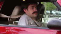 1636428935976.gif
