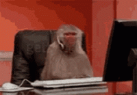 monkey-typing.gif