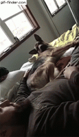 f161f9ce7fc7a741d71d32272f856402.gif