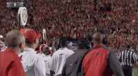 1636771794564.gif
