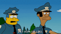 giphy (9).gif