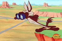 200 (6).gif