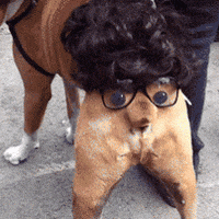 200.gif