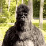 87D3F8C8-A41F-4ADF-AD70-F0254413E351.gif