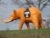 Orange Elephant2.jpg
