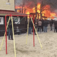 1638238057051.gif