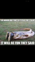 thumb_56-go-noodling-for-catfish-they-said-it-will-be-59778290.png