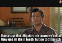 b3f2943a3f8274206da1377b4e5575d6--dental-humour-movie-tv.jpg