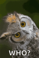 1639189479657.gif